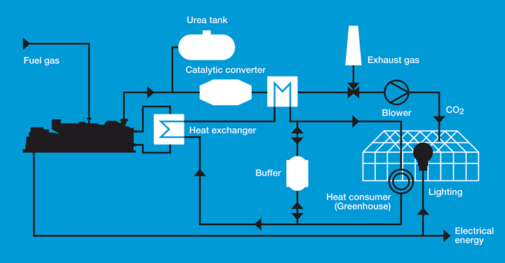 schematic greenhouse - ببینید: آشنایی با اجزا و عملکرد دیگ آب گرم (آتش در لوله) - آرین پادرا صنعت
